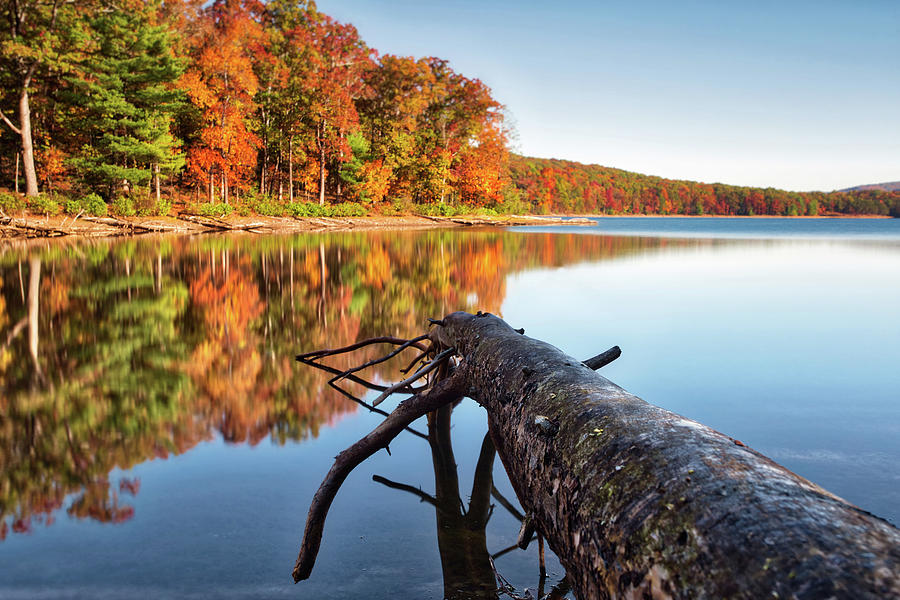 Autumn at the Lake Photograph by Amber Kresge
