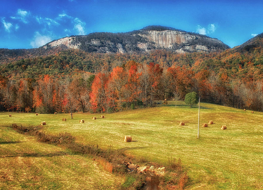 Autumn at the Meadow Photograph by Blaine Owens