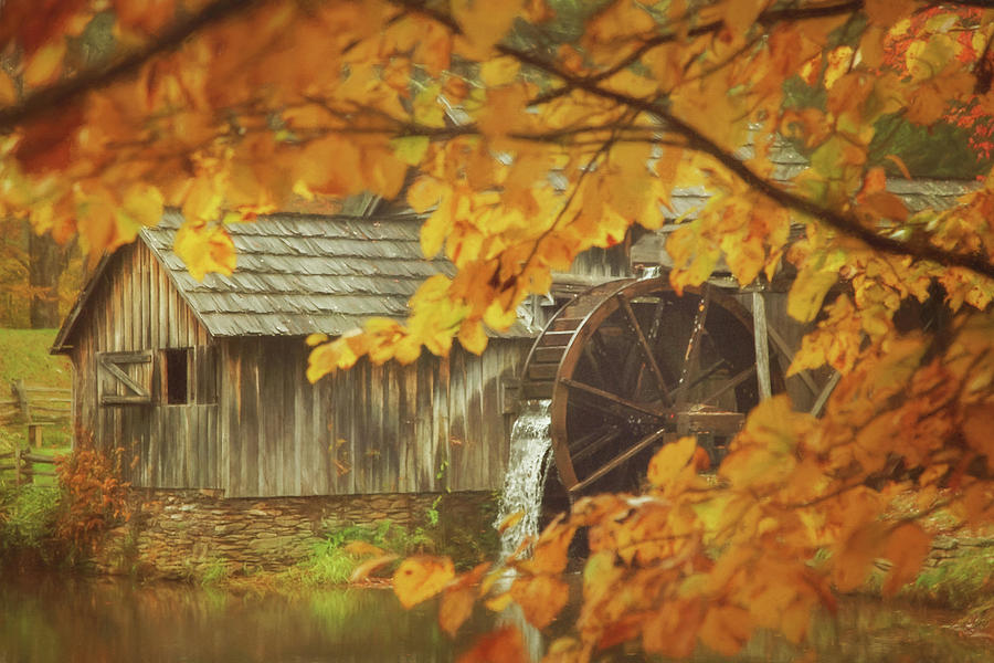 Autumn at the Mill Photograph by Carrie Ann Grippo-Pike