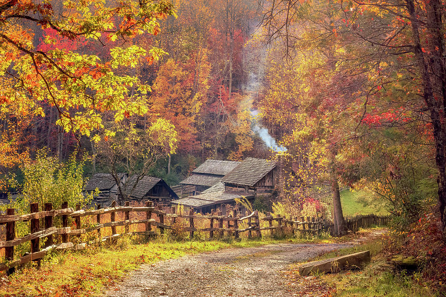 Autumn at the Pioneer Farm Photograph by Susan Rissi Tregoning