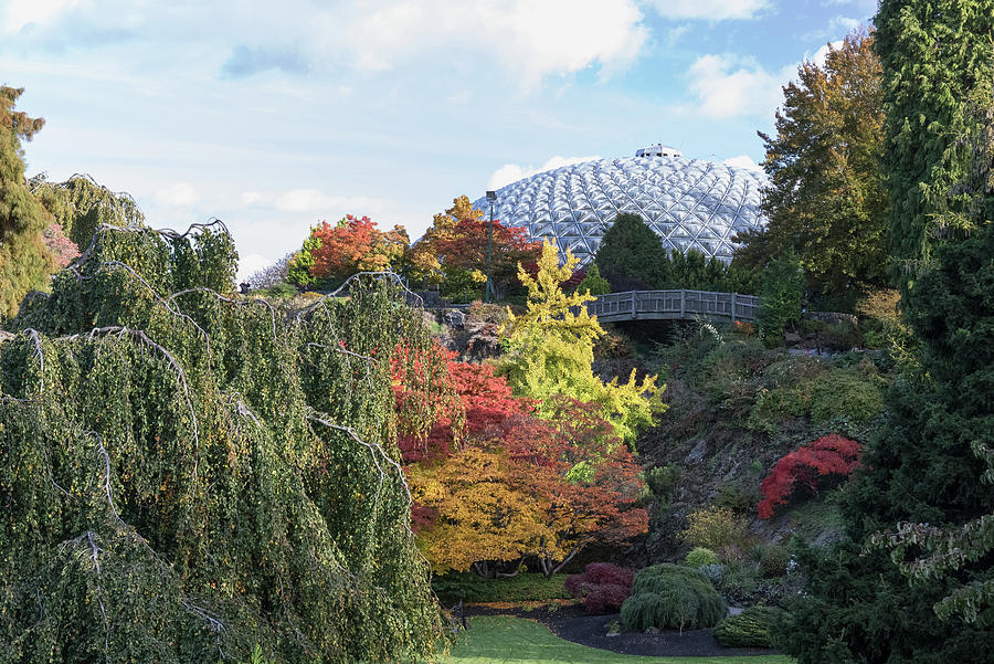 Autumn at the Quarry Gardens in Queen Elizabeth Park Photograph by ...