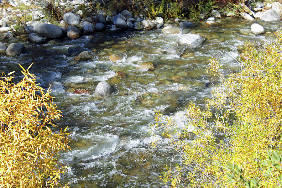 Autumn At The Rapids Photograph by Eric Forster