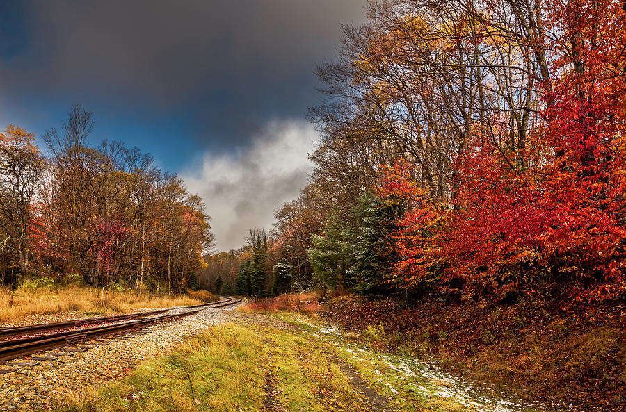 Autumn at the Tracks Photograph by David Patterson