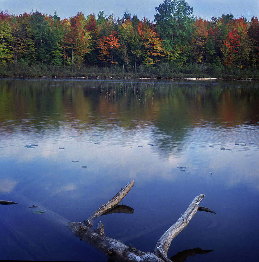 Autumn at Thornton Lake Photograph by James C Richardson