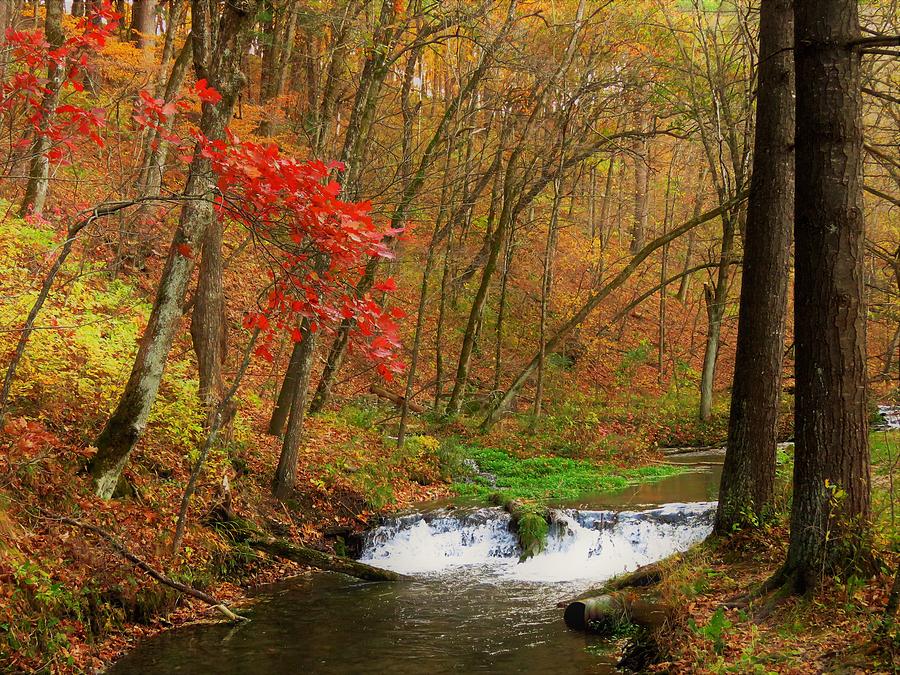 Autumn at Twin Springs Photograph by Lori Frisch - Fine Art America