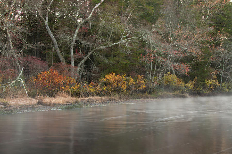 Autumn At Wading River Photograph by Kristia Adams