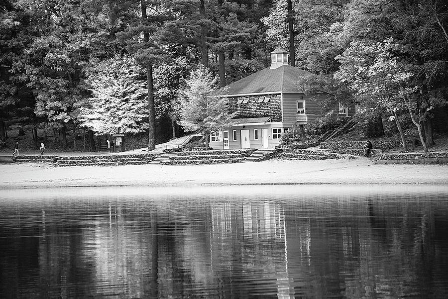 Autumn at Walden Pond Fall Trees Concord MA Black and White Photograph by Toby McGuire