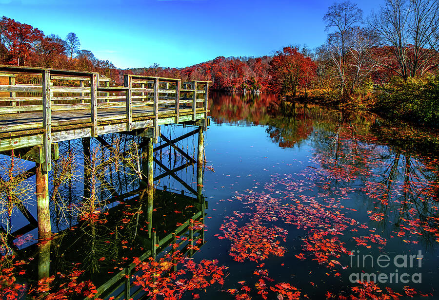 Autumn at Warriors Path State Park Photograph by Shelia Hunt