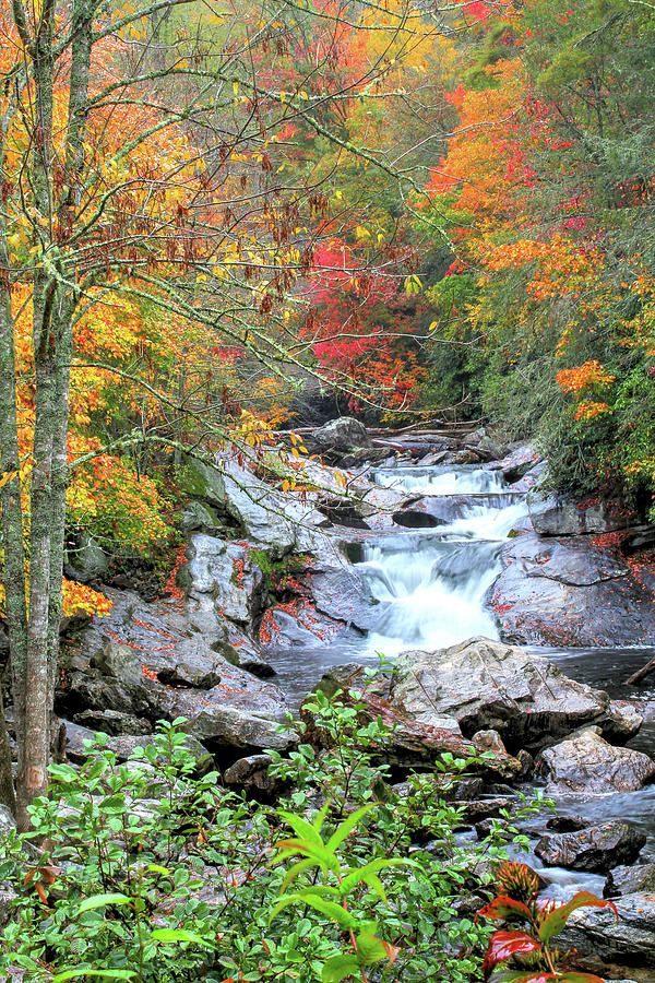 Autumn at Whitewater Falls Photograph by Robert Harris