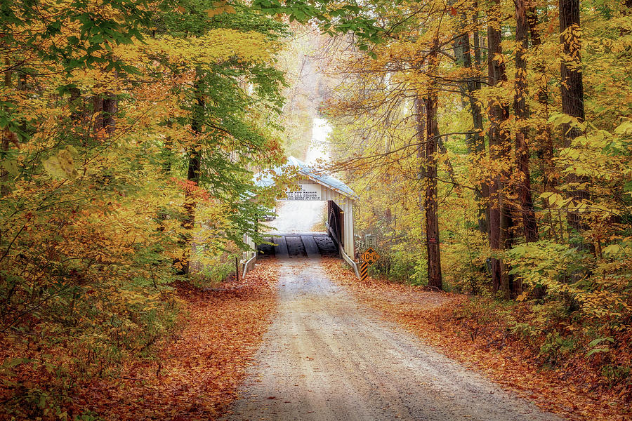 Autumn at Zacke Cox Covered Bridge Photograph by Susan Rissi Tregoning