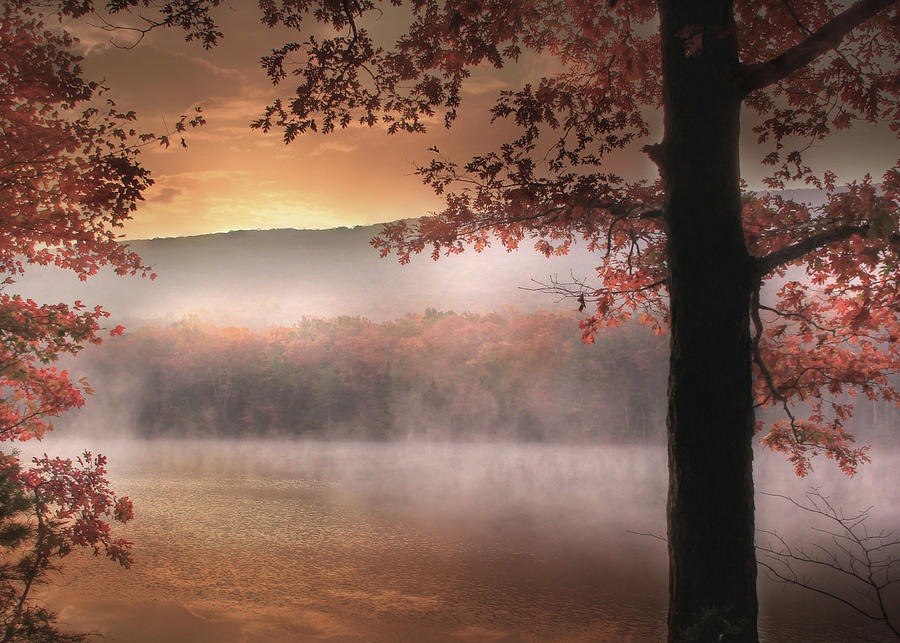 Autumn Atmosphere Photograph by Lori Deiter