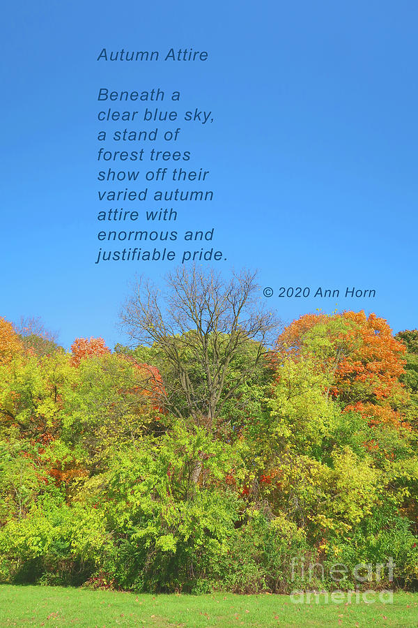 Autumn Attire Photograph by Ann Horn