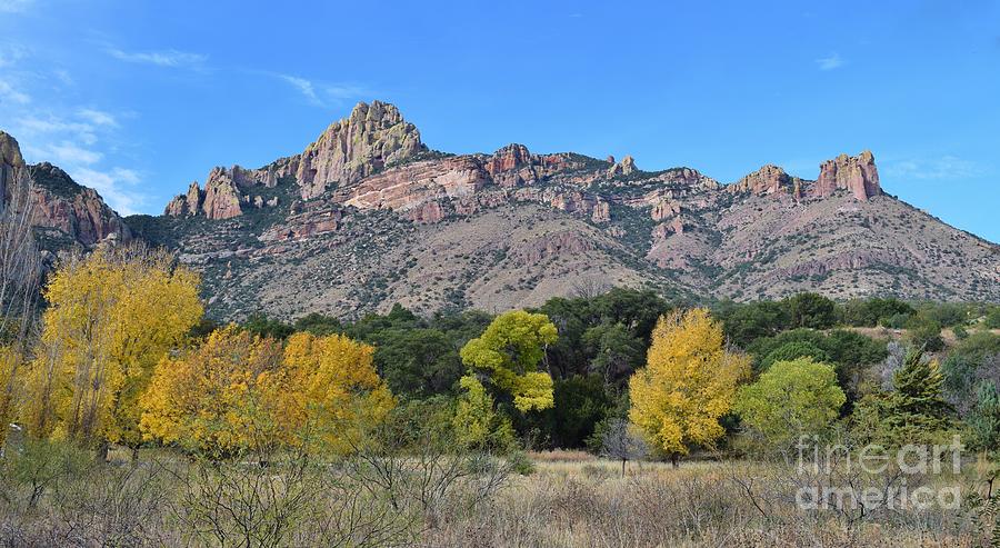 Autumn Aura at Cave Creek Canyon Photograph by Janet Marie