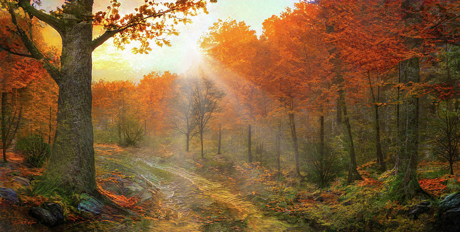 Autumn Back Road D Digital Art by Frank Wilson