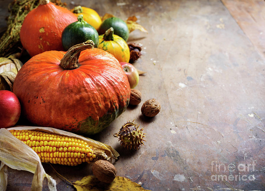 Thanksgiving Photograph - Autumn Background by Jelena Jovanovic
