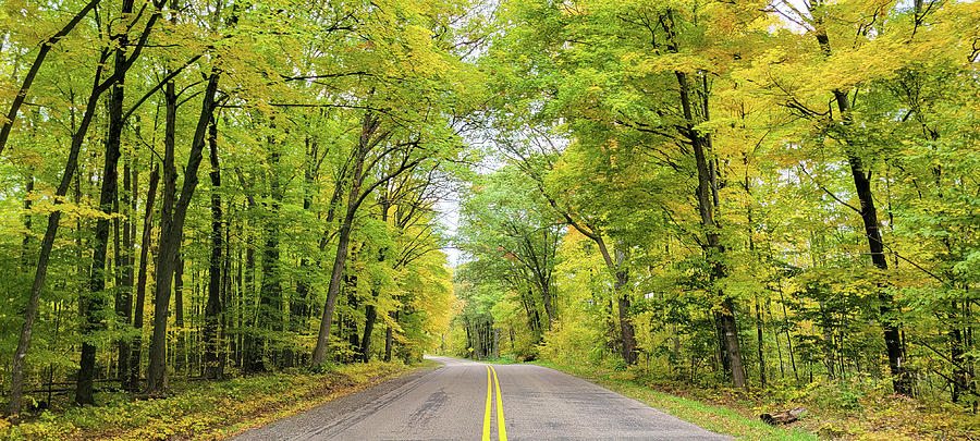 Autumn Backroad Photograph by Brook Burling