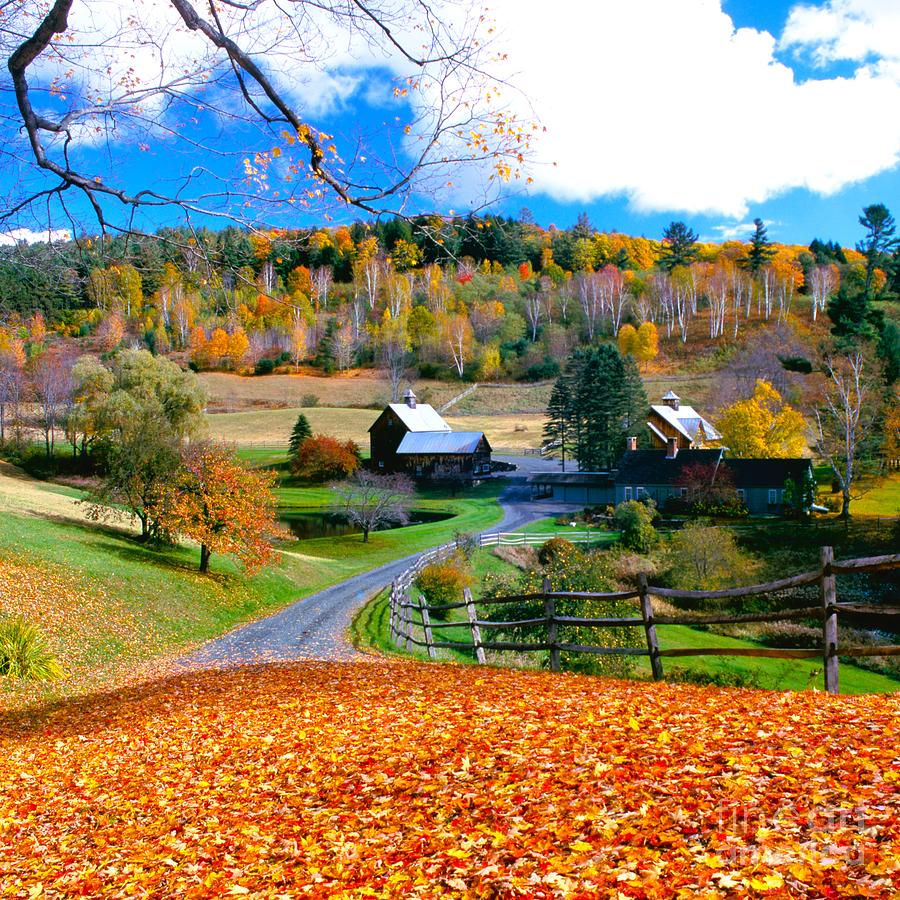 Autumn backroads Photograph by Michael McCormack