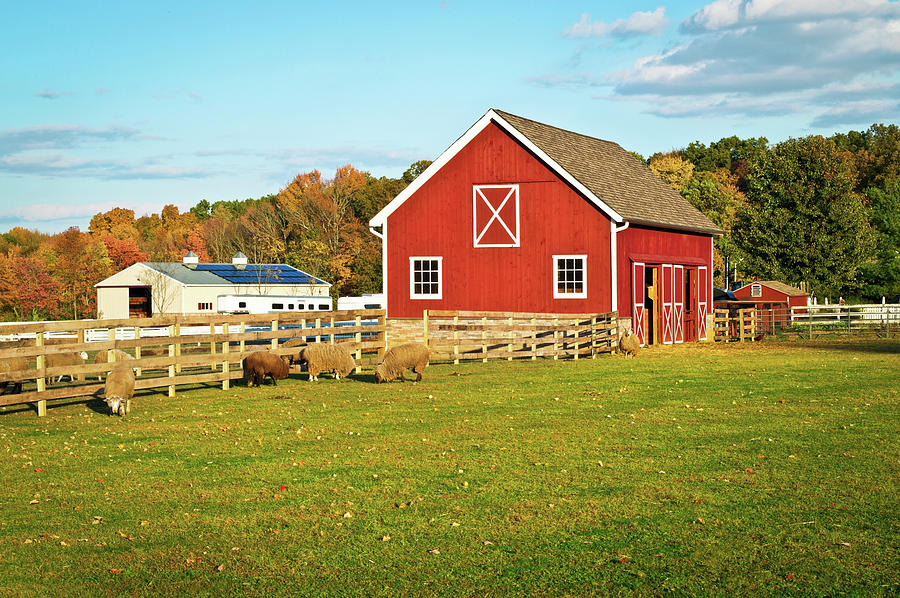 Autumn Barn Photograph by Andrew Kazmierski - Fine Art America