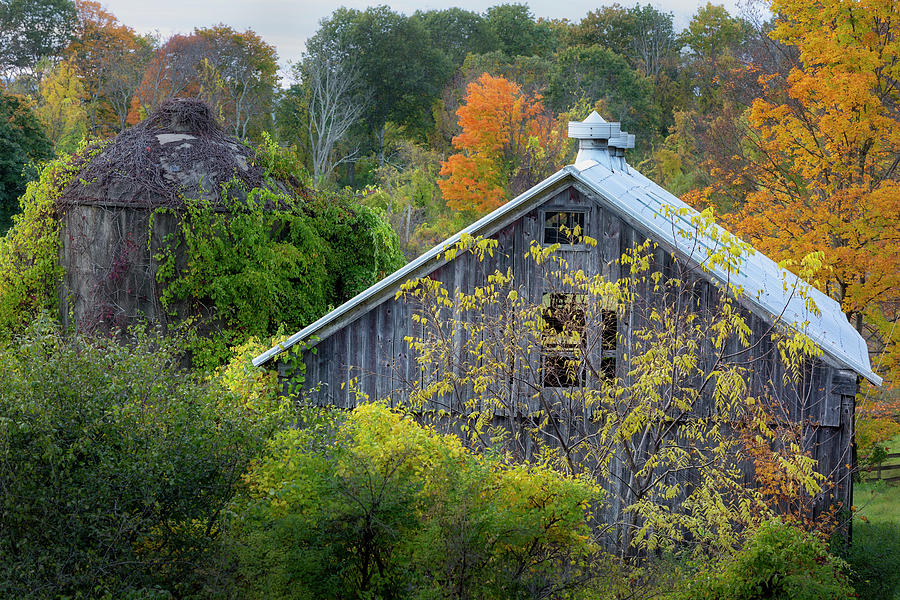 Tree Photograph - Autumn Barn by Bill Wakeley