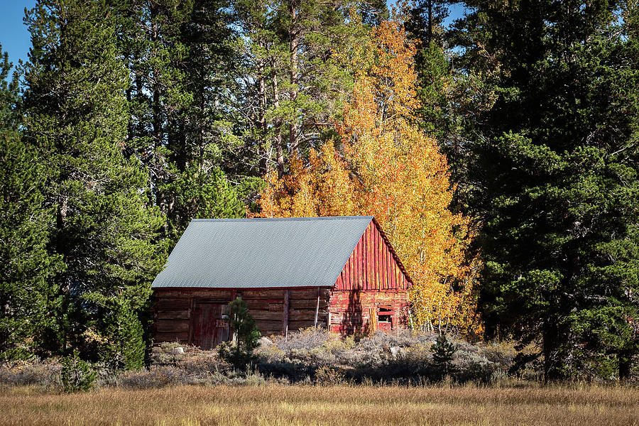 Autumn Barn Photograph by Gary Geddes