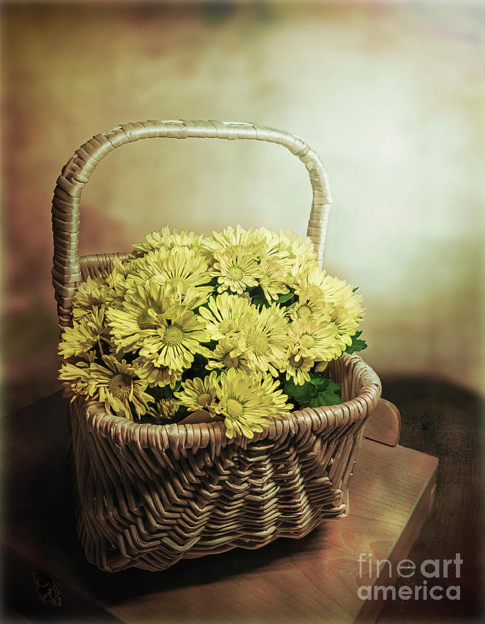 Autumn Basket Photograph by John Anderson