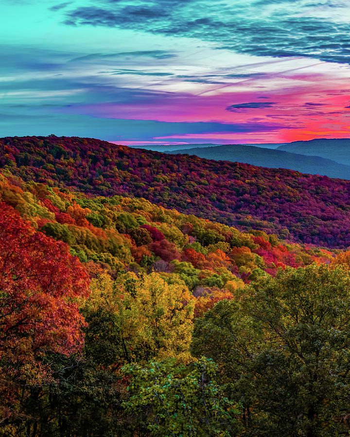 Autumn Beauty At Artist Point - Mountainburg Arkansas Photograph