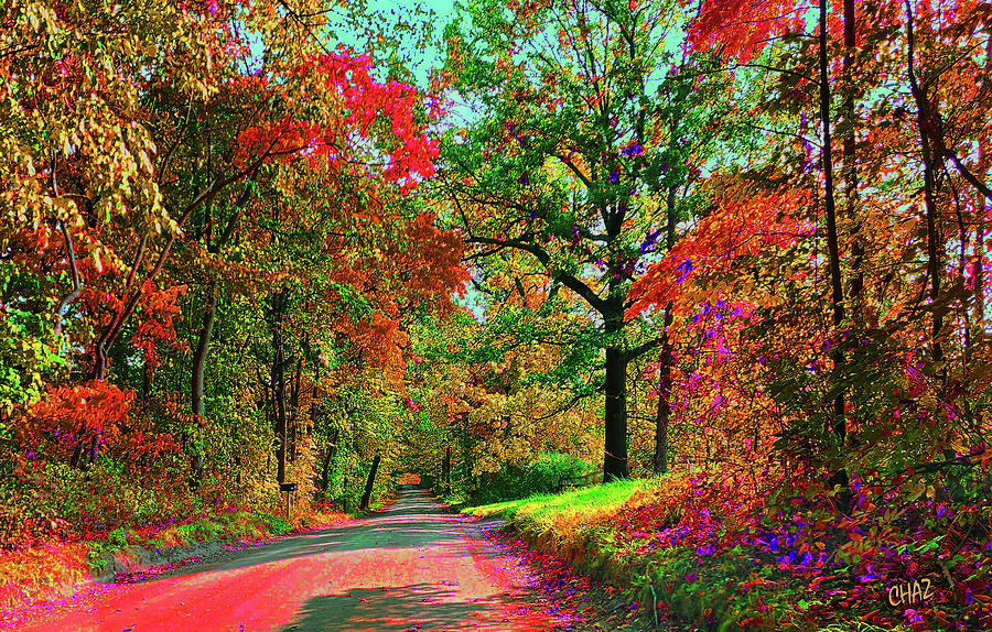 Autumn Beauty Digital Art by CHAZ Daugherty