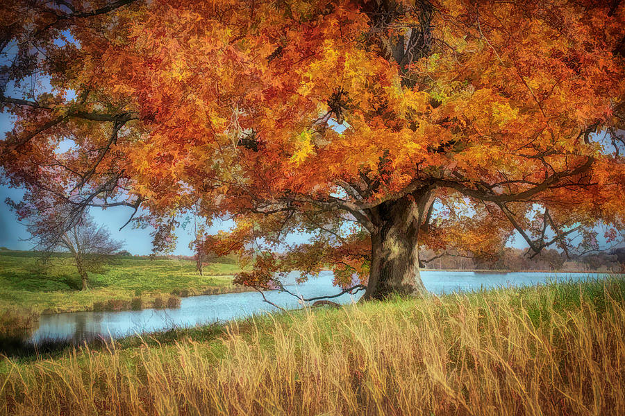 Autumn Beauty Photograph by Wendell Thompson