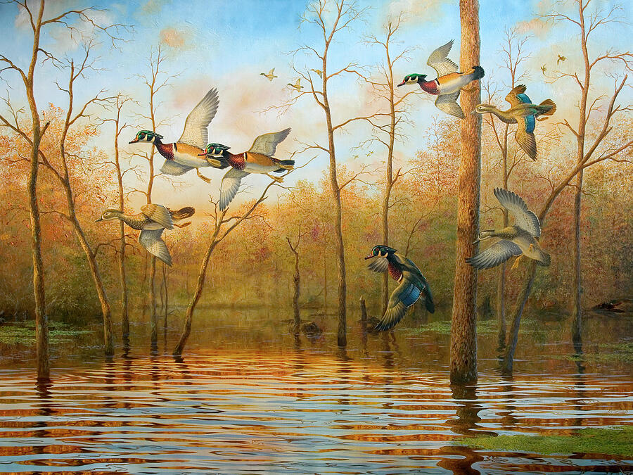 Duck Painting - Autumn Beaverpond  by Guy Crittenden