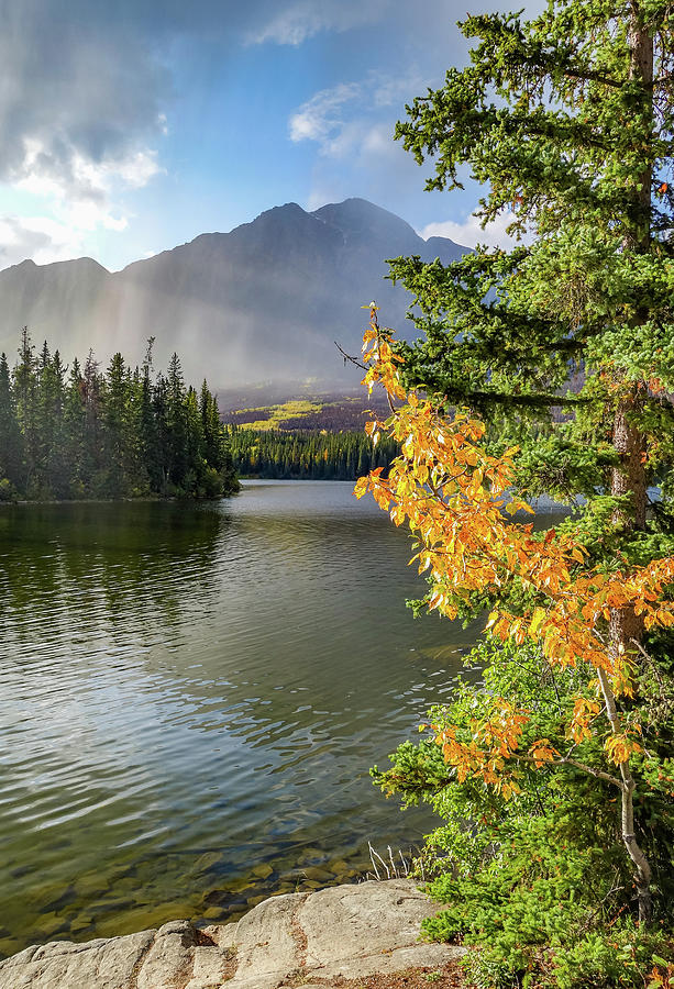 Banff National Park Photograph - Autumn Beginnings Canadian Rockies by Dan Sproul