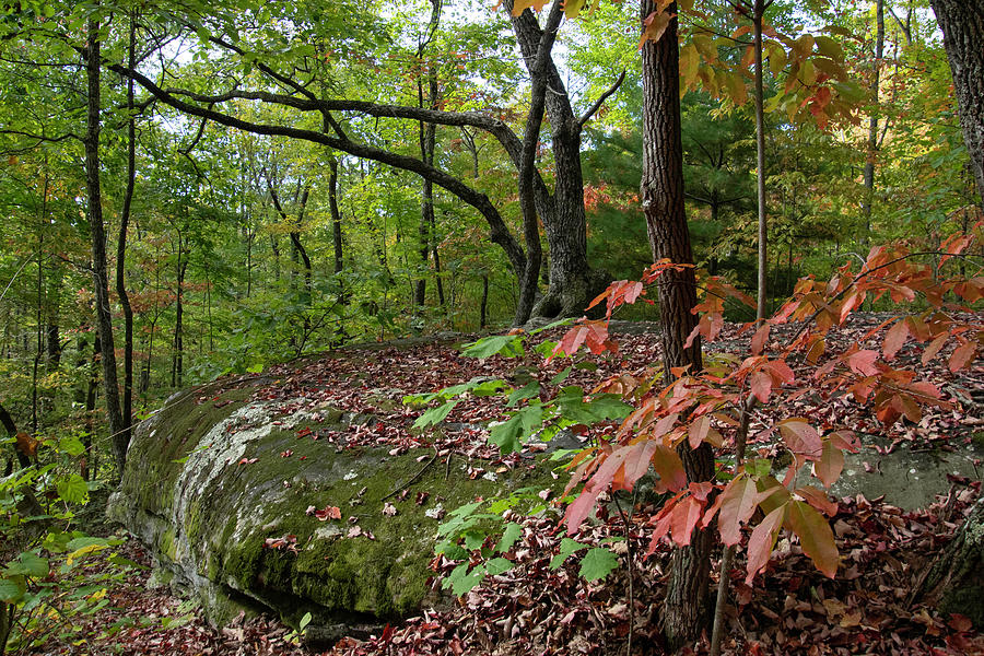 Autumn Begins on the Cumberland Plateau Photograph by Cascade Colors