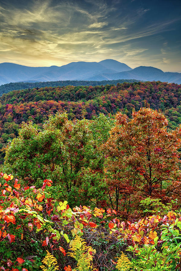 Autumn Behold the Colorful Trees Photograph by Dan Carmichael