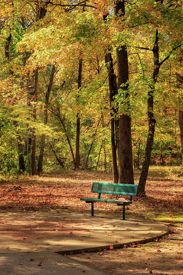 Autumn Bench In An East Texas Park Photograph by James Eddy