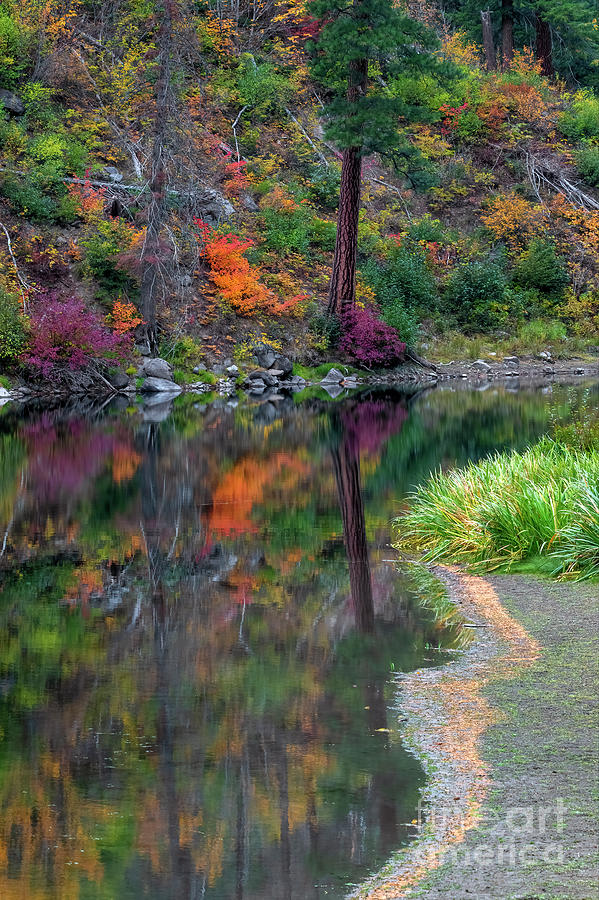 Autumn Bend Photograph
