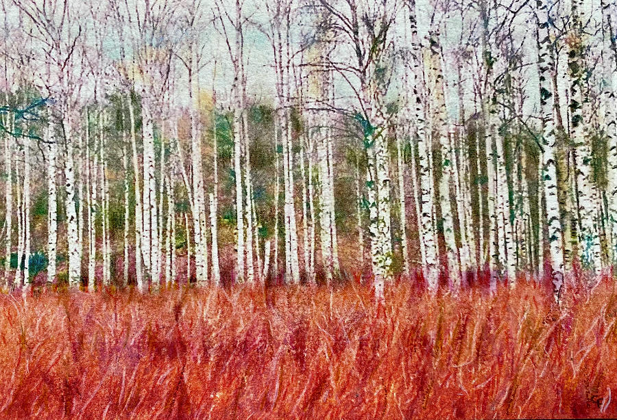 Autumn Birch Painting by Cara Frafjord