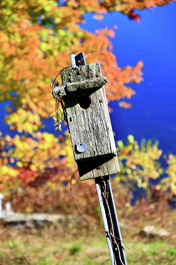 Autumn Birdhouse Photograph By Keith Rousseau Fine Art America