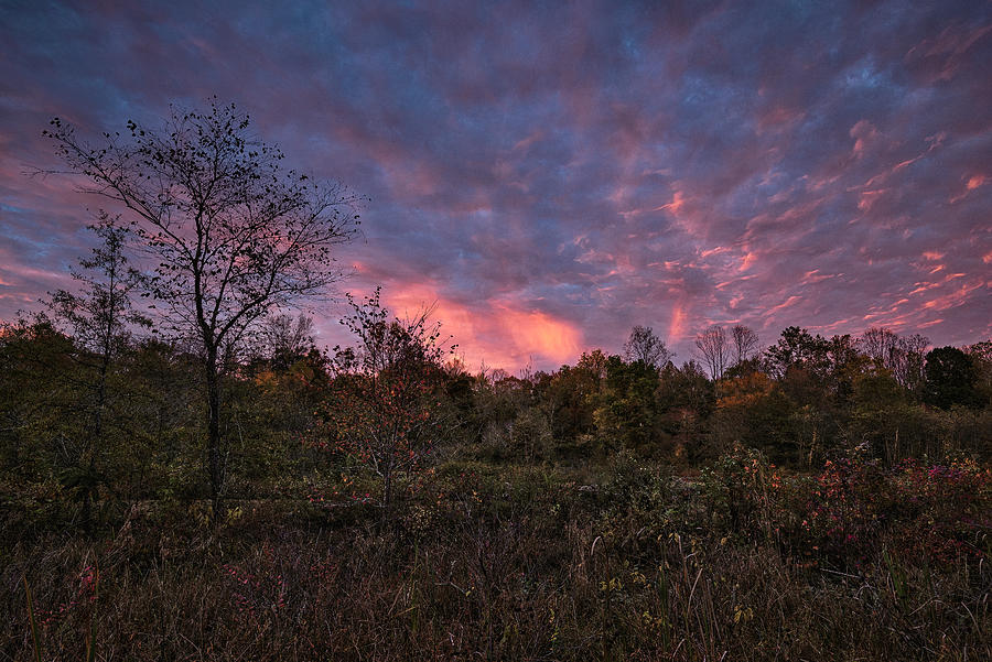 Autumn Blaze 2 Photograph by Robert Fawcett