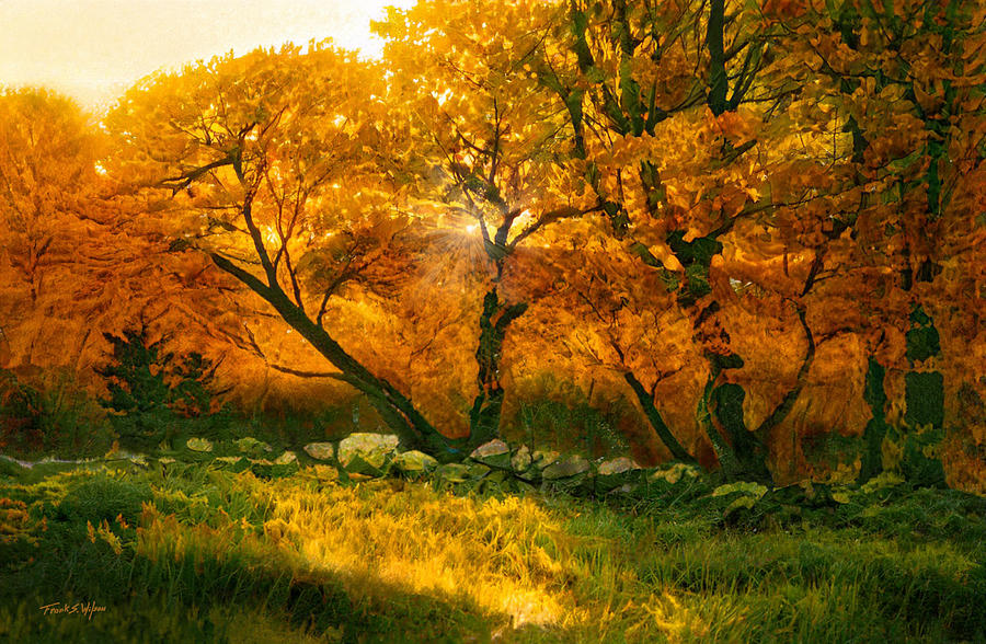 Autumn Blaze D Digital Art by Frank Wilson