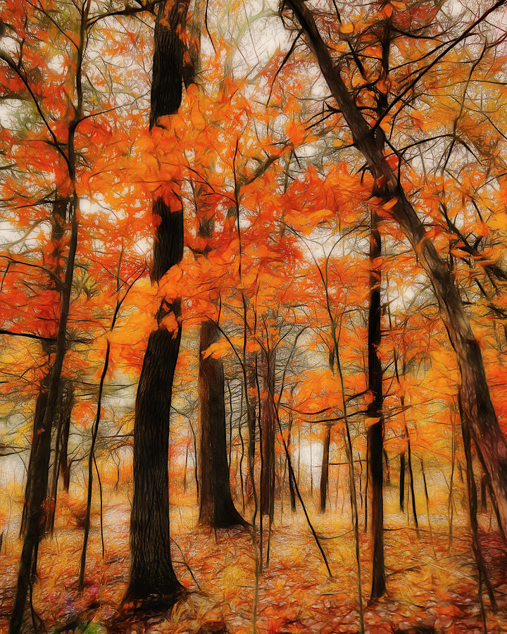 Autumn Blaze Two Mixed Media by Ann Powell