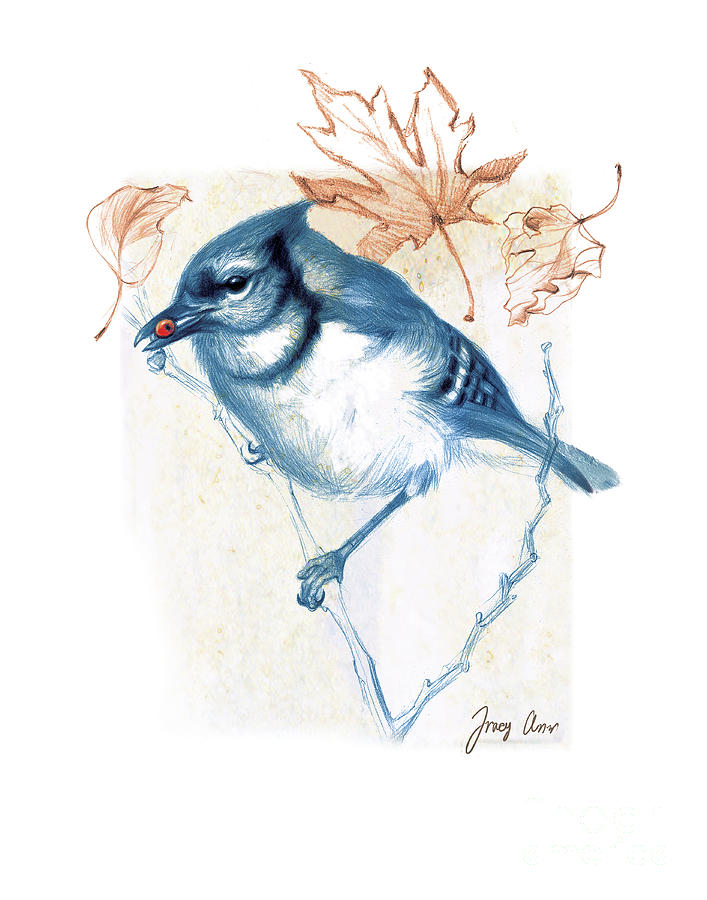 Autumn Blue Jay Painting by Tracy Herrmann