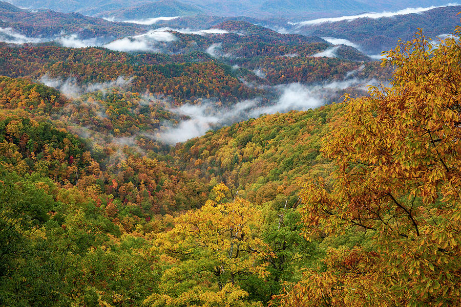 Autumn Blue Ridge Mountains Photograph by Dan Sproul