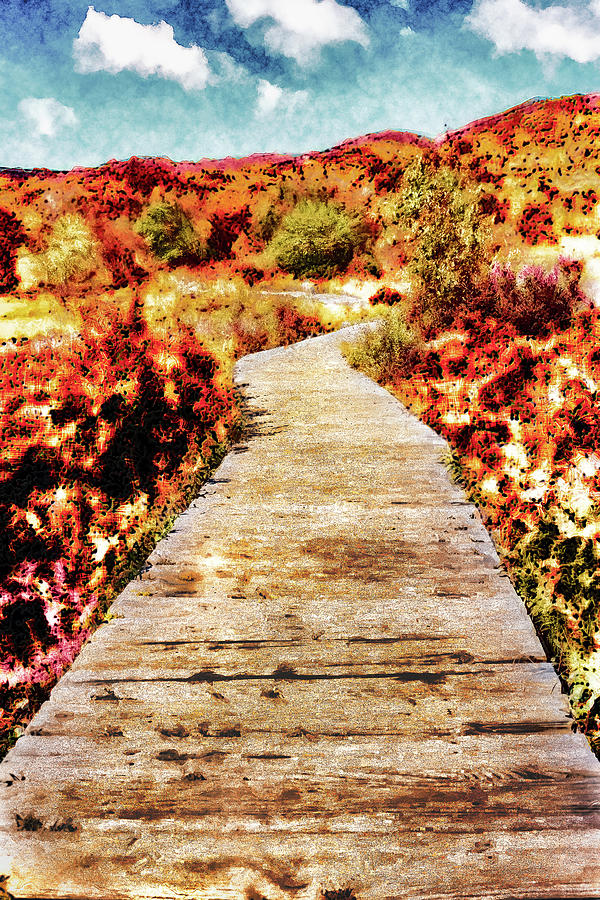 Autumn Boardwalk Through the Graveyard Digital Art by Dan Carmichael