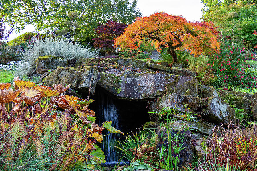 Autumn Botanical Garden with Waterfall Photograph - Autumn Botanical Garden with Waterfall by Shirley Mitchell