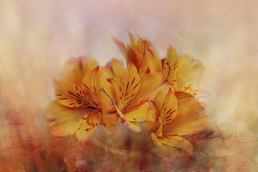 Nature Digital Art - Autumn Bouquet by Terry Davis