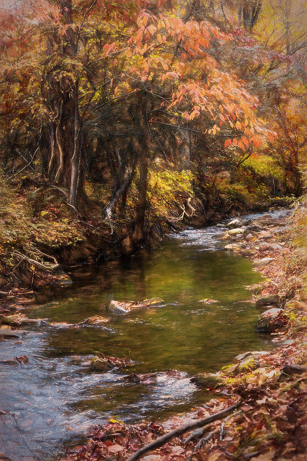 Autumn Branches over the Stream Painting Photograph by Debra and Dave Vanderlaan