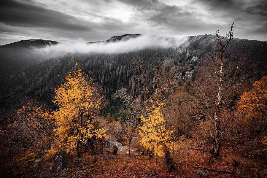 Autumn Breeze Photograph by Philippe Sainte-Laudy