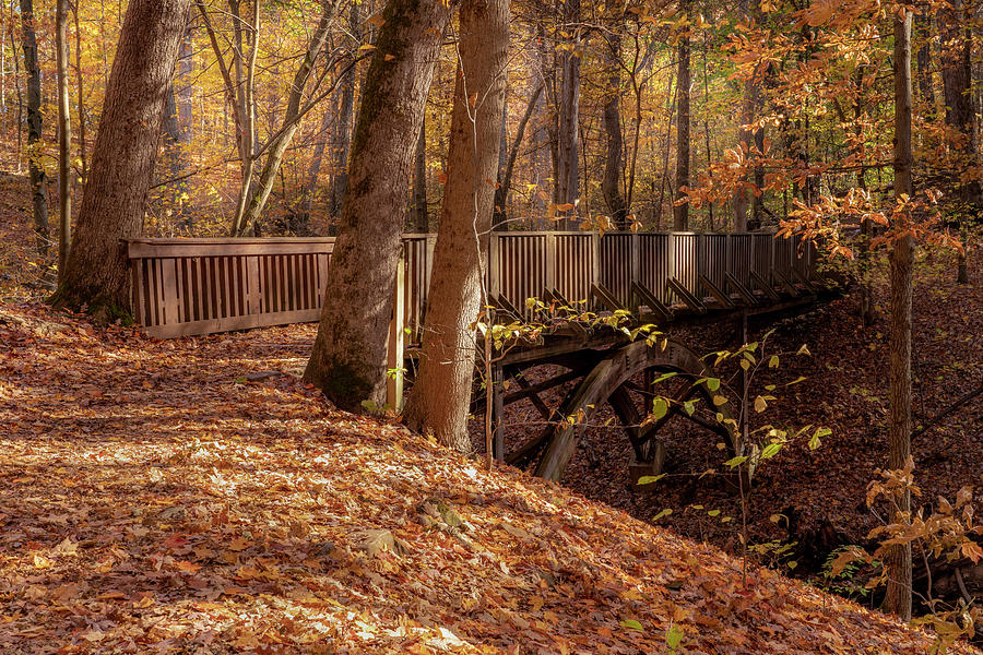 Autumn Bridge  Photograph by Arthur Oleary