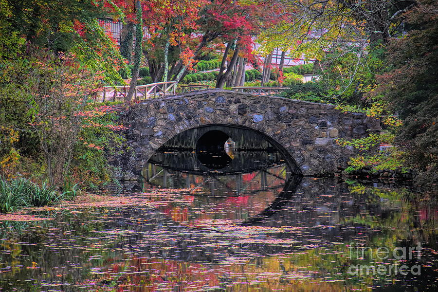 Autumn Bridge At Cedarmere Photograph by Karen Silvestri