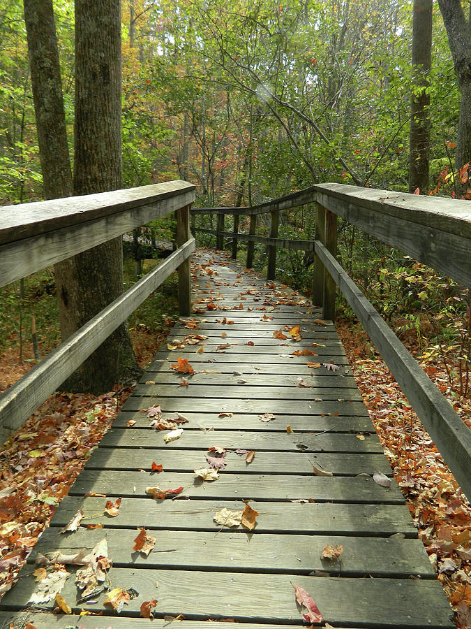 Autumn Bridge Photograph by Debi Blankenship