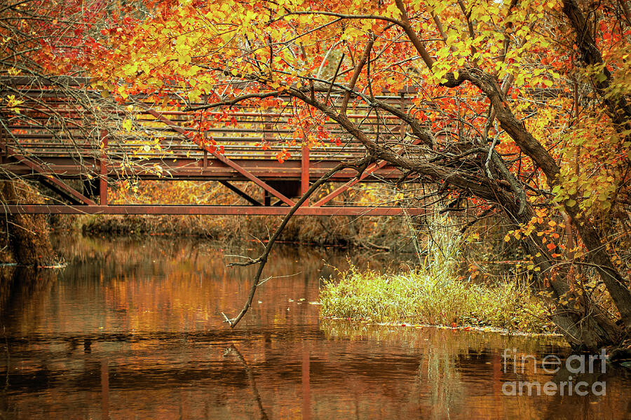 Autumn Bridge with Vibrant Foliage Reflections Photograph by Brigitte Blanchette Thompson Autumn Bridge with Vibrant Foliage Reflections Photograph by Brigitte Blanchette Thompson